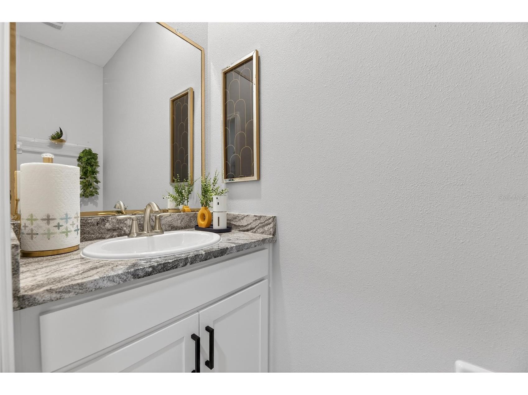 33146 Sand Creek Drive Wesley Chapel FL 33543 TB8479545 image53