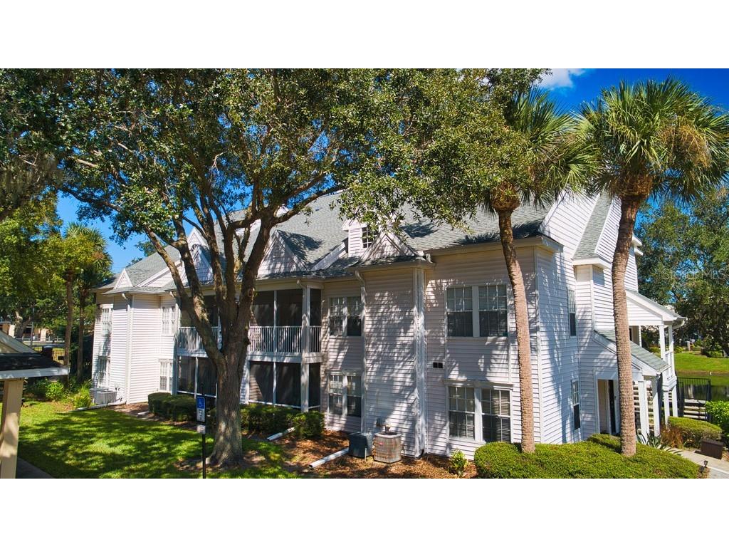 33153261 Haviland Court #302302 Palm Harbor FL 34684 U8180311 image1
