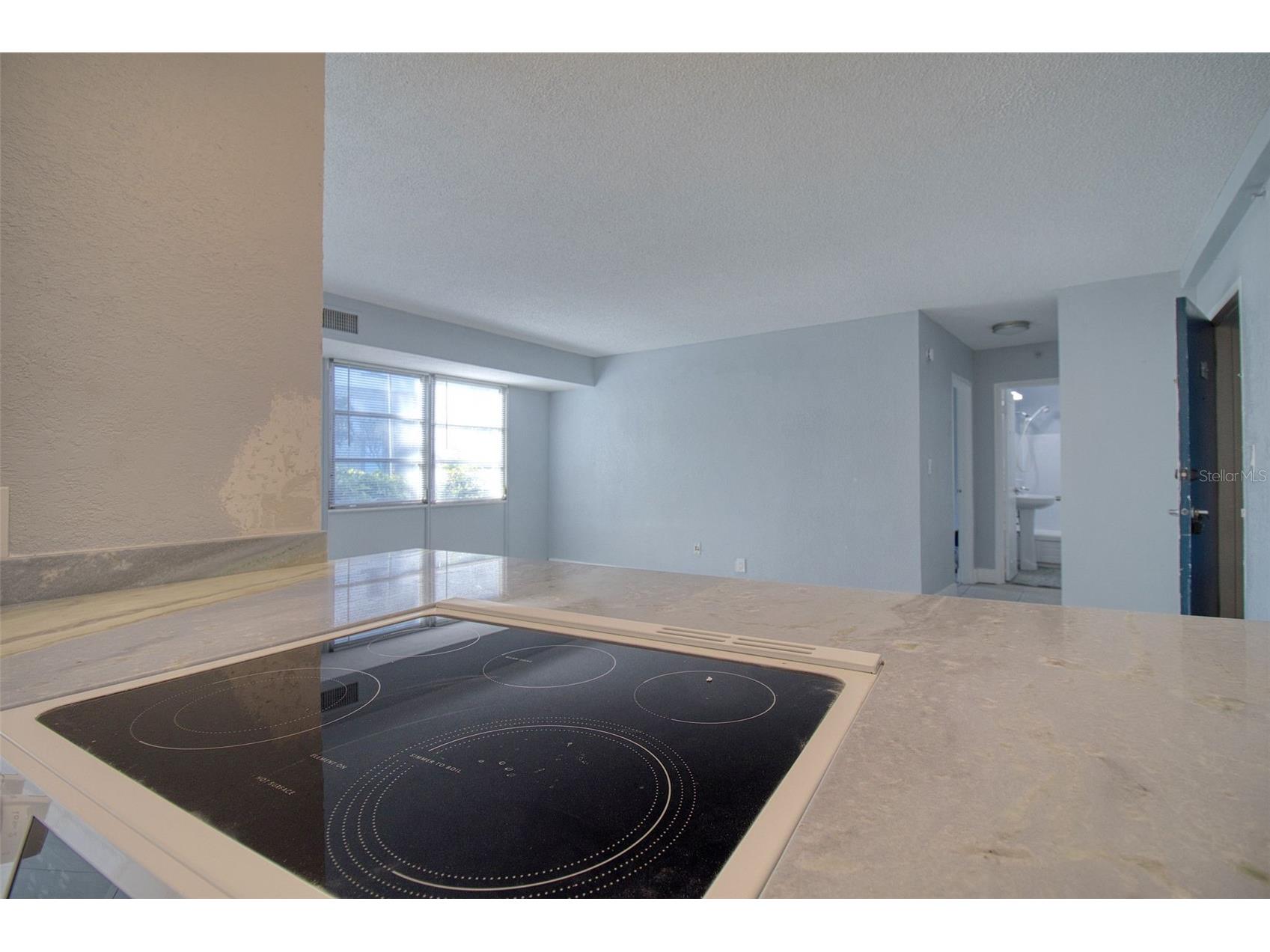 3315 58th Avenue S #112 Saint Petersburg FL 33712 TB8456361 image14