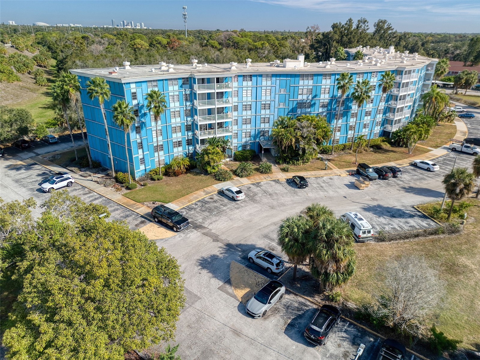 3315 58th Avenue S #112 Saint Petersburg FL 33712 TB8456361 image33