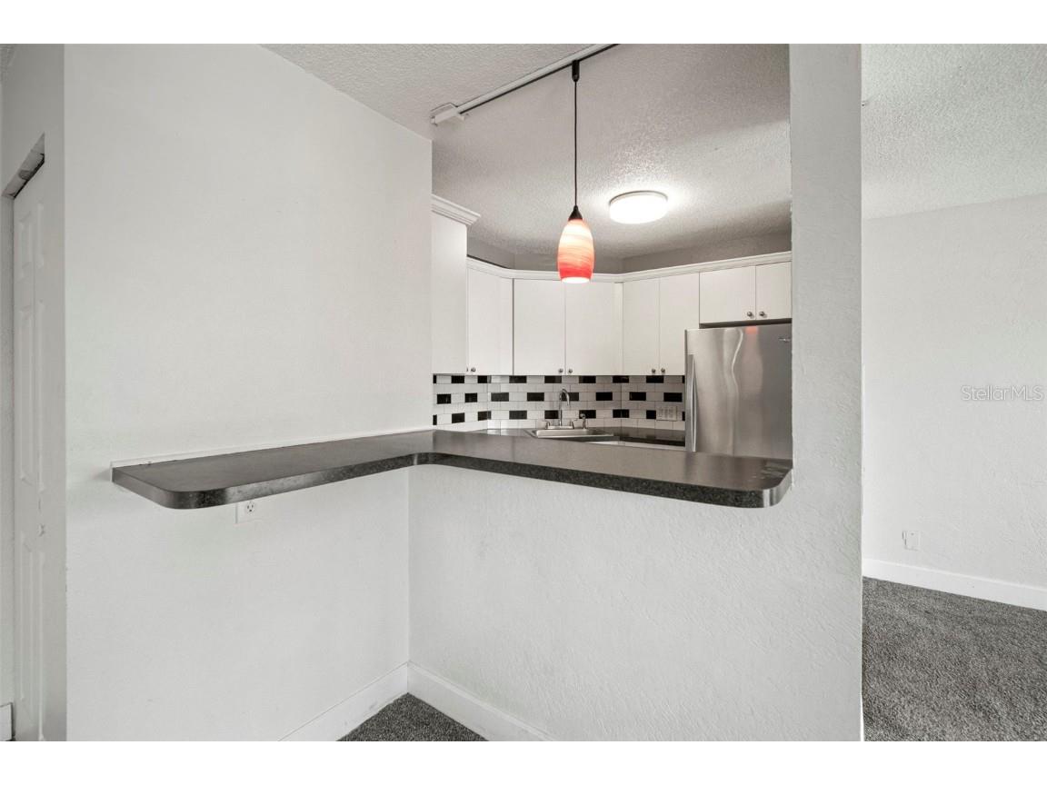 3315 58th Avenue S #208 Saint Petersburg FL 33712 TB8442975 image12