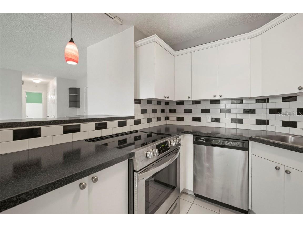 3315 58th Avenue S #208 Saint Petersburg FL 33712 TB8442975 image9