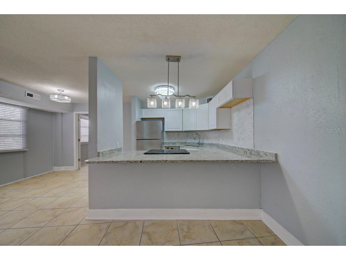3315 58th Avenue S #306 Saint Petersburg FL 33712 T3507977 image20