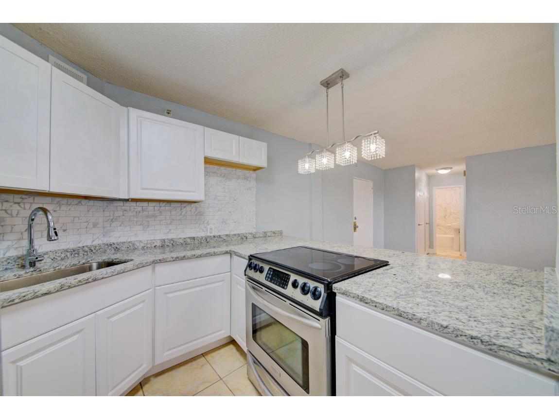 3315 58th Avenue S #306 Saint Petersburg FL 33712 T3507977 image32