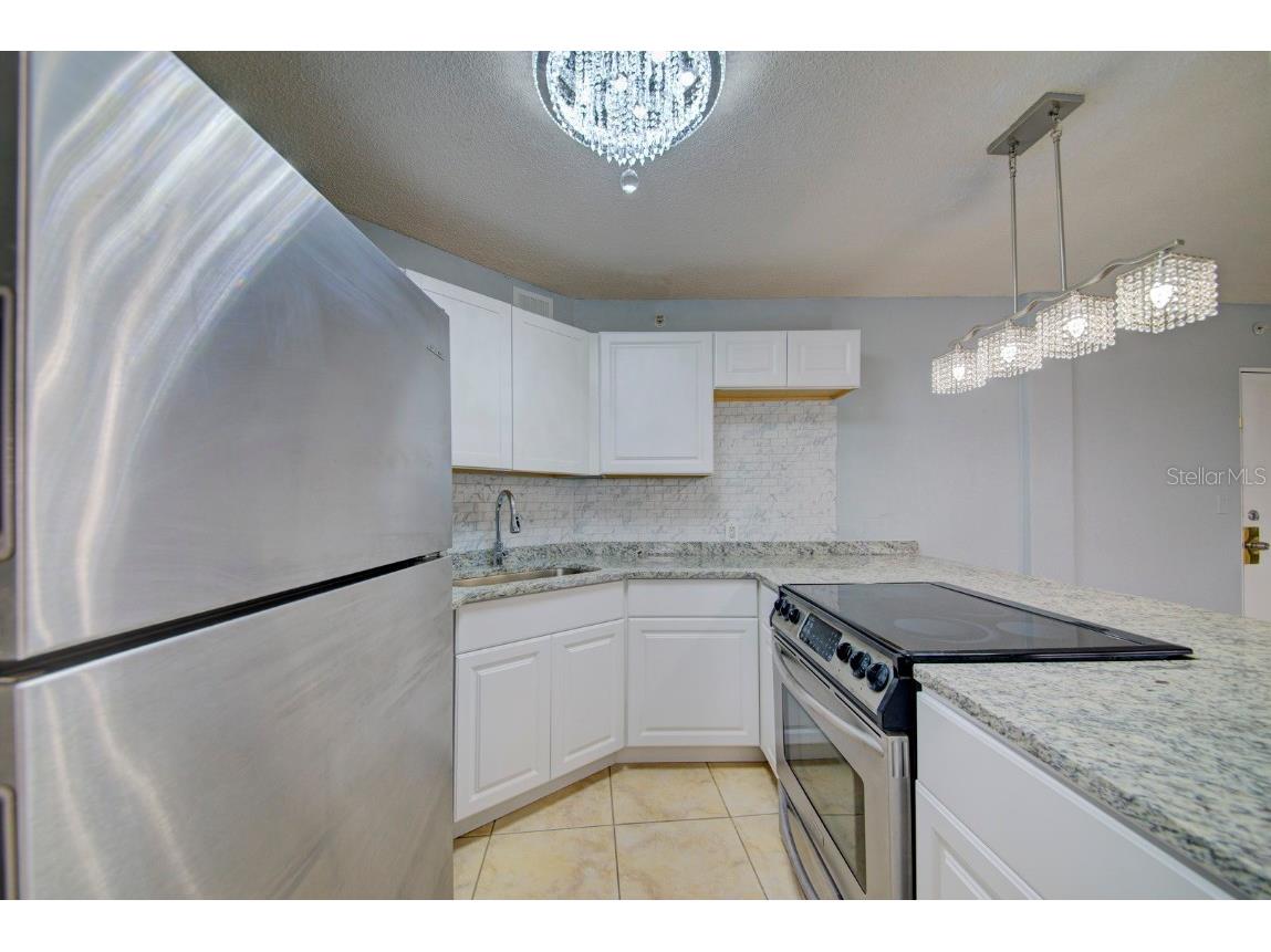 3315 58th Avenue S #306 Saint Petersburg FL 33712 T3507977 image34