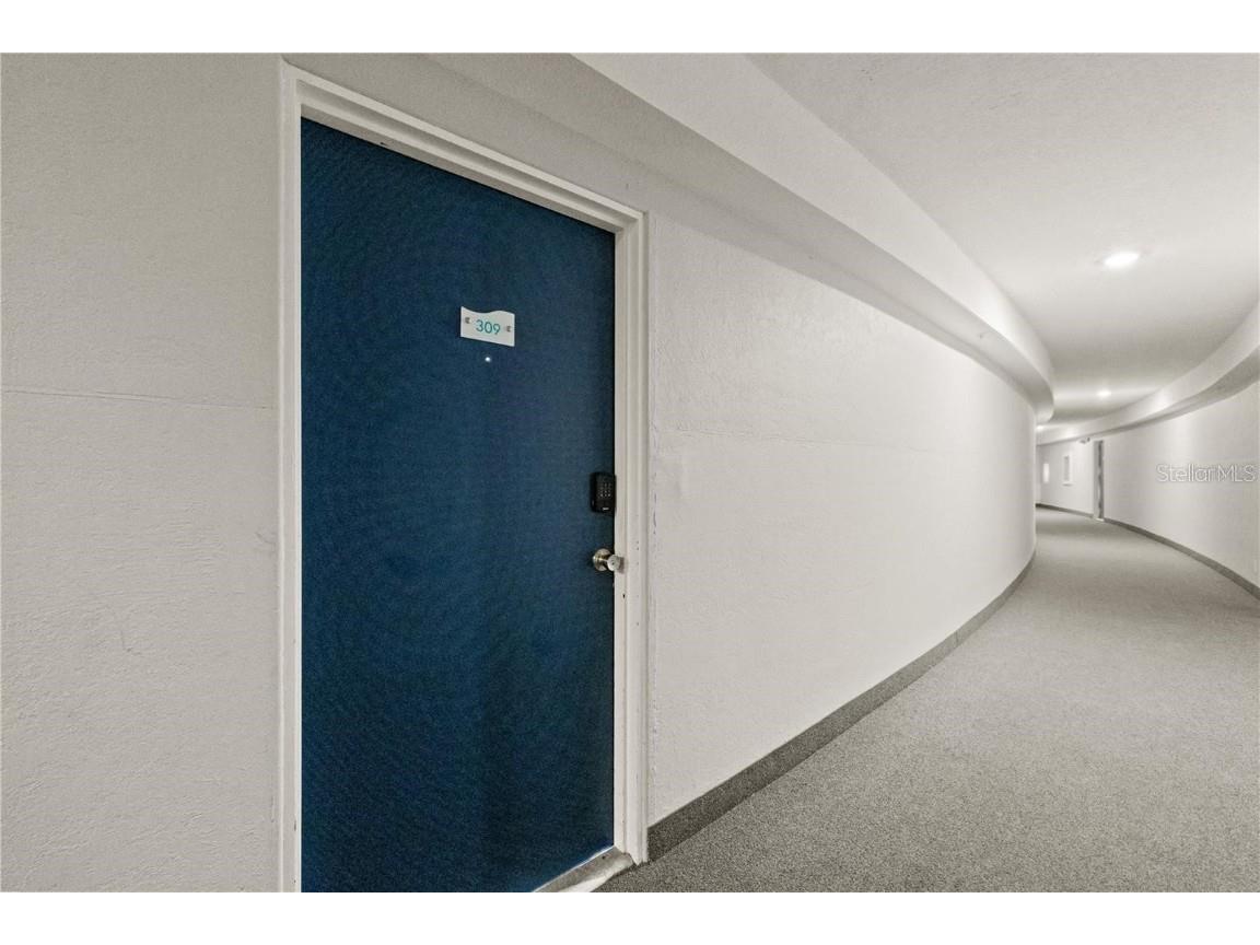 3315 58th Avenue S #309 Saint Petersburg FL 33712 TB8444162 image2