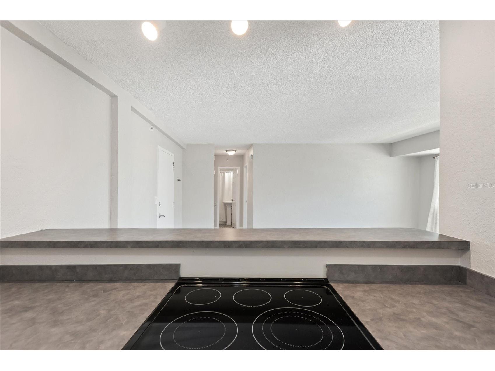 3315 58th Avenue S #314 Saint Petersburg FL 33712 TB8496070 image18