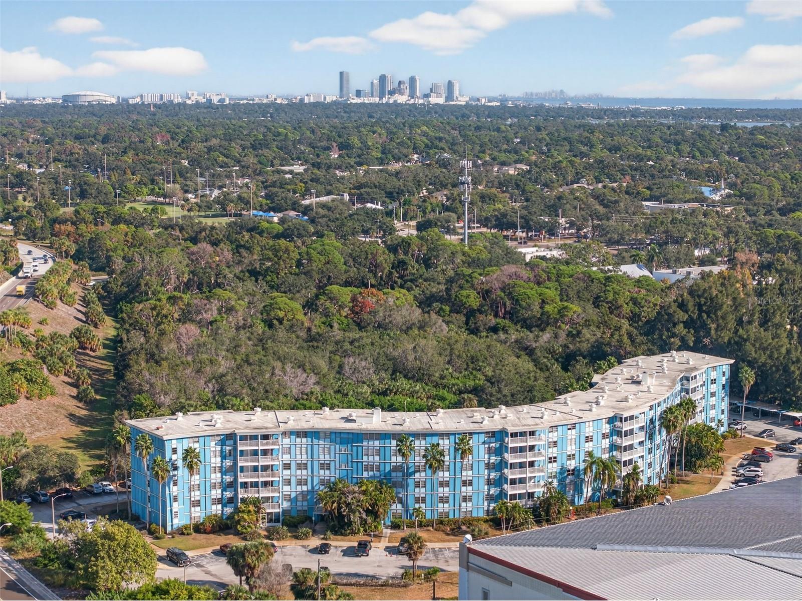 3315 58th Avenue S #315 Saint Petersburg FL 33712 TB8455276 image1
