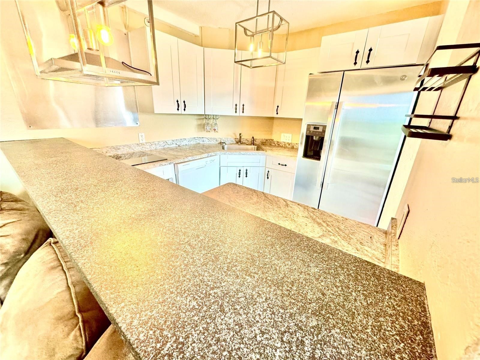 3315 58th Avenue S #418 Saint Petersburg FL 33712 W7881673 image4