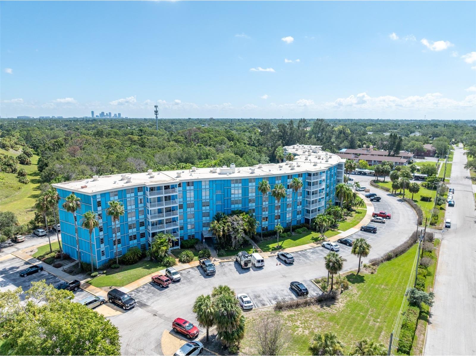 3315 58th Avenue S #512 Saint Petersburg FL 33712 TB8401215 image39