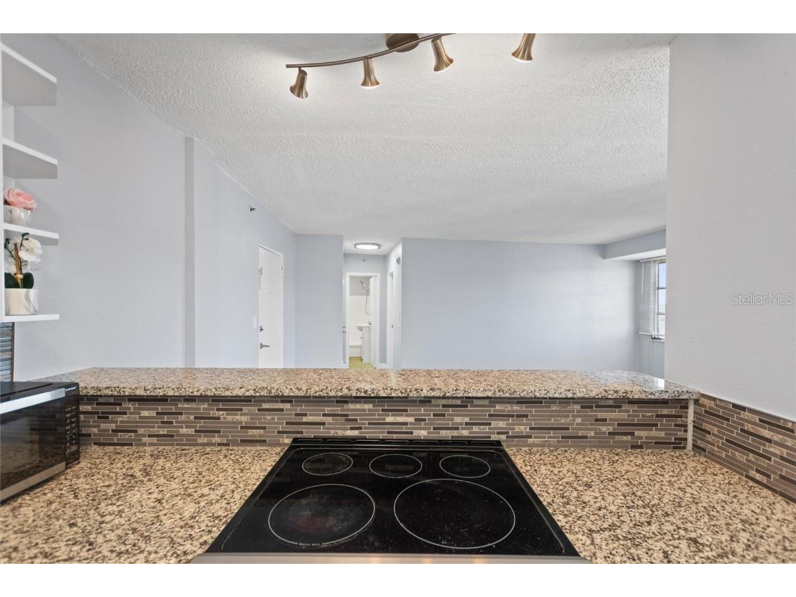 3315 58th Avenue S #610 Saint Petersburg FL 33712 TB8429938 image18