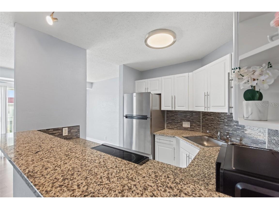 3315 58th Avenue S #610 Saint Petersburg FL 33712 TB8429938 image20