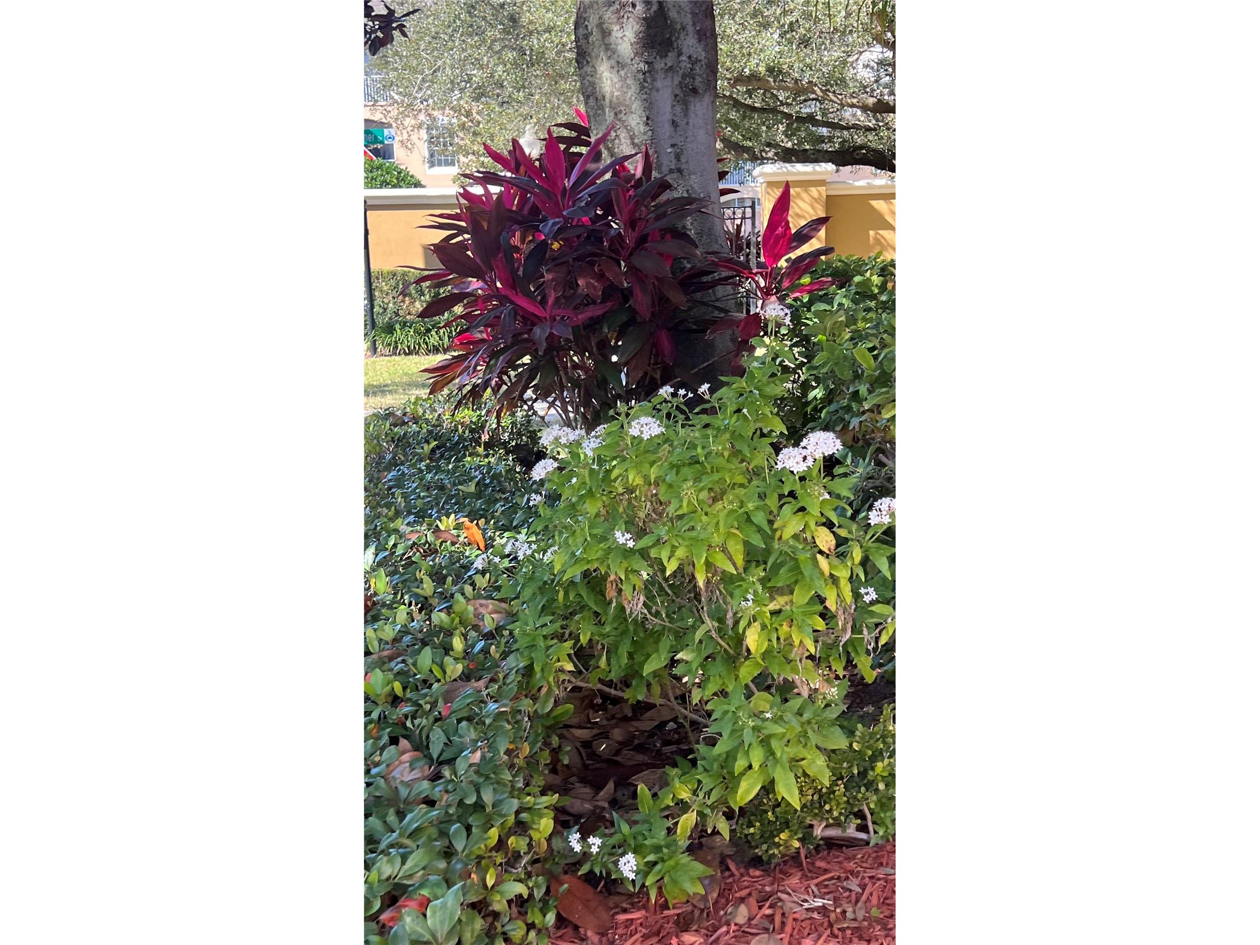 3315 Flamborough Drive Orlando FL 32835 O6378259 image40