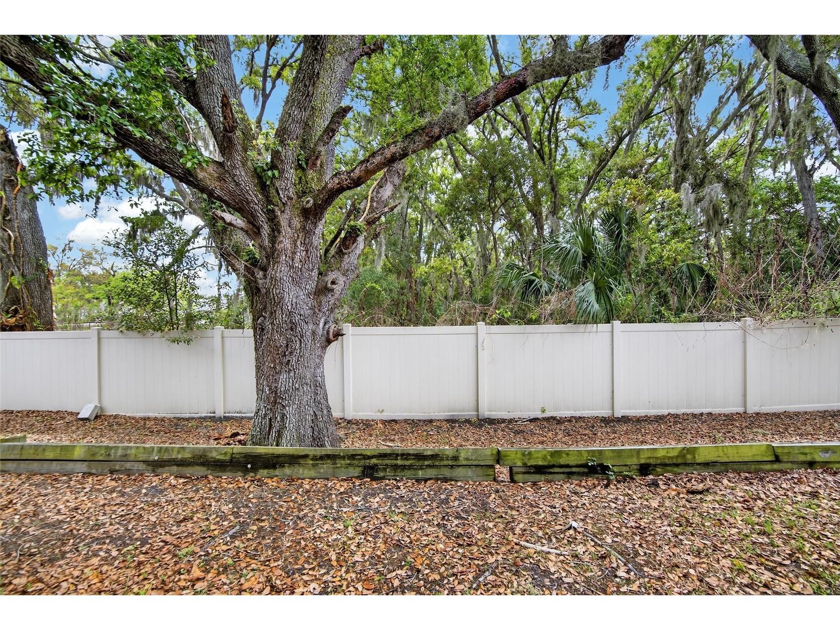 3315 Pleasant Willow Court Brandon FL 33511 TB8486480 image21