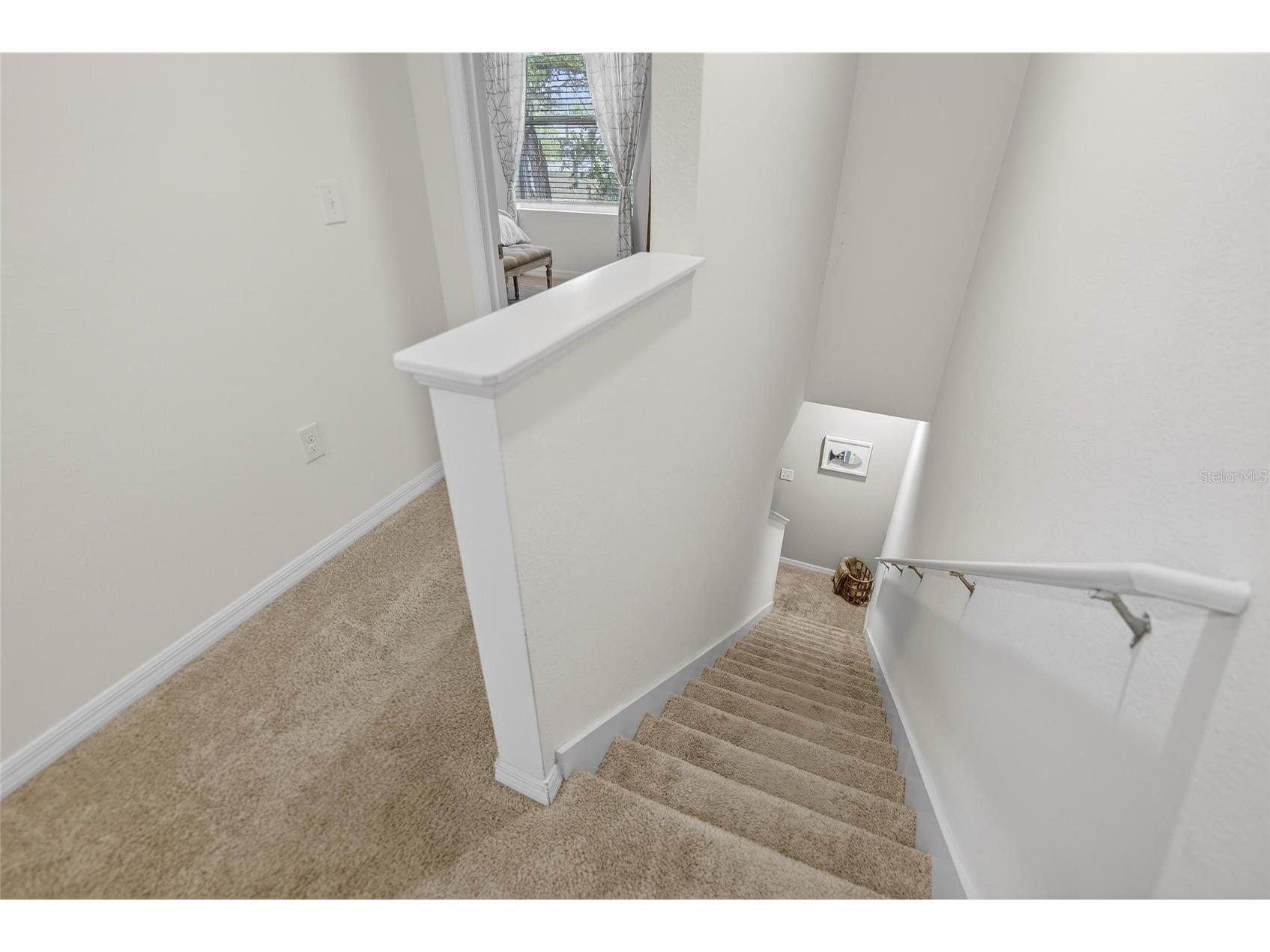 3315 Pleasant Willow Court Brandon FL 33511 TB8486480 image46