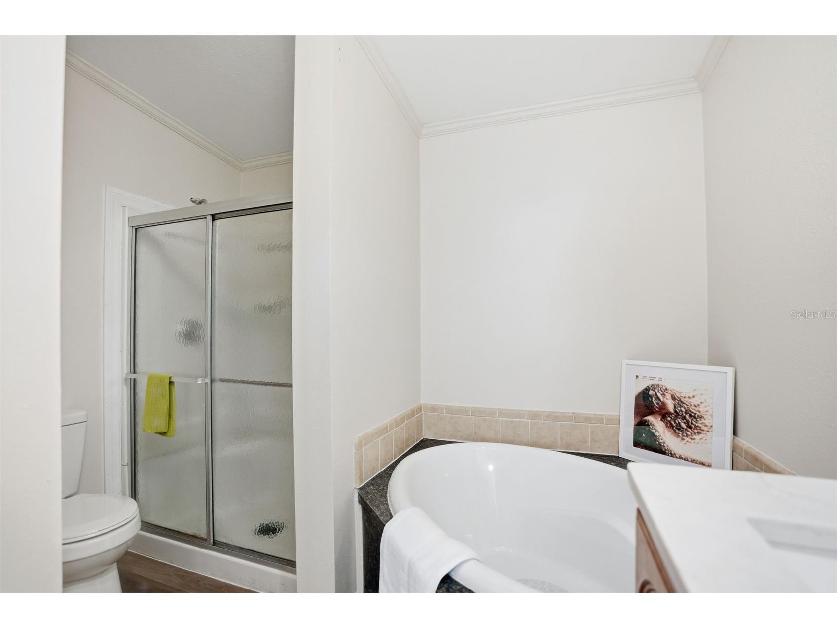 3315 Southwest Boulevard Spring Hill FL 34606 W7882496 image34