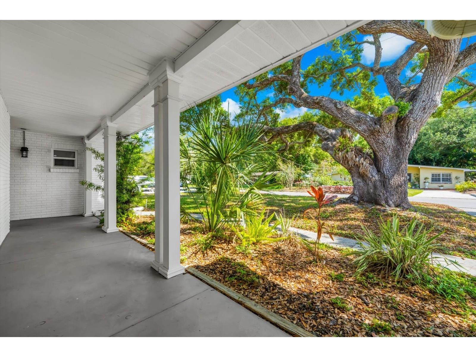 3315 W Beaumont Street Tampa FL 33611 TB8496911 image3