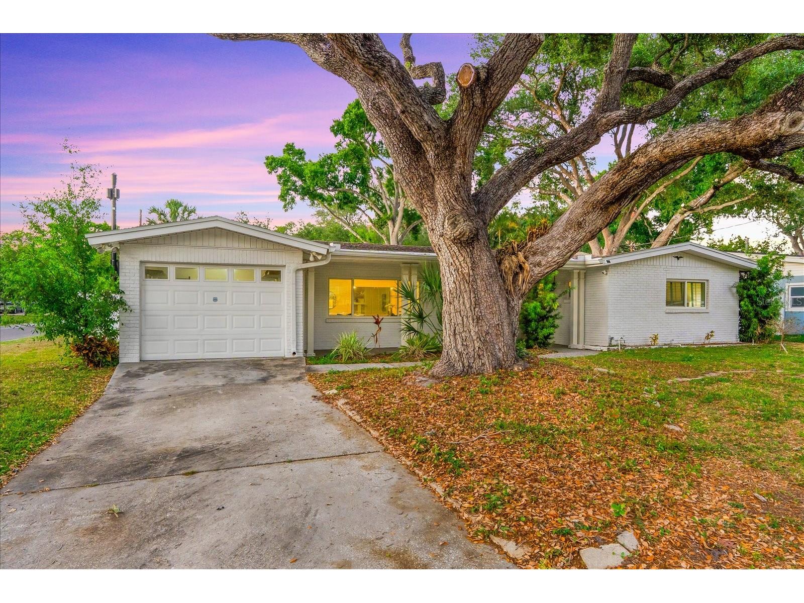 3315 W Beaumont Street Tampa FL 33611 TB8496911 image55