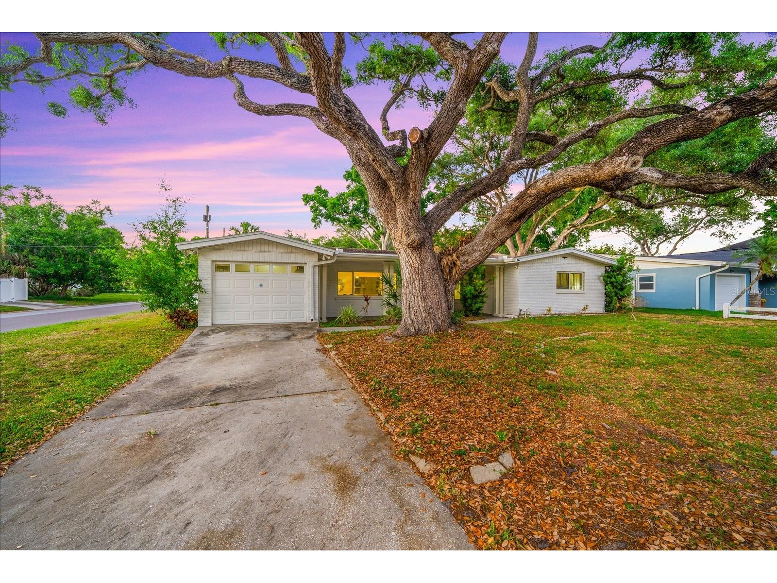3315 W Beaumont Street Tampa FL 33611 TB8496911 image56