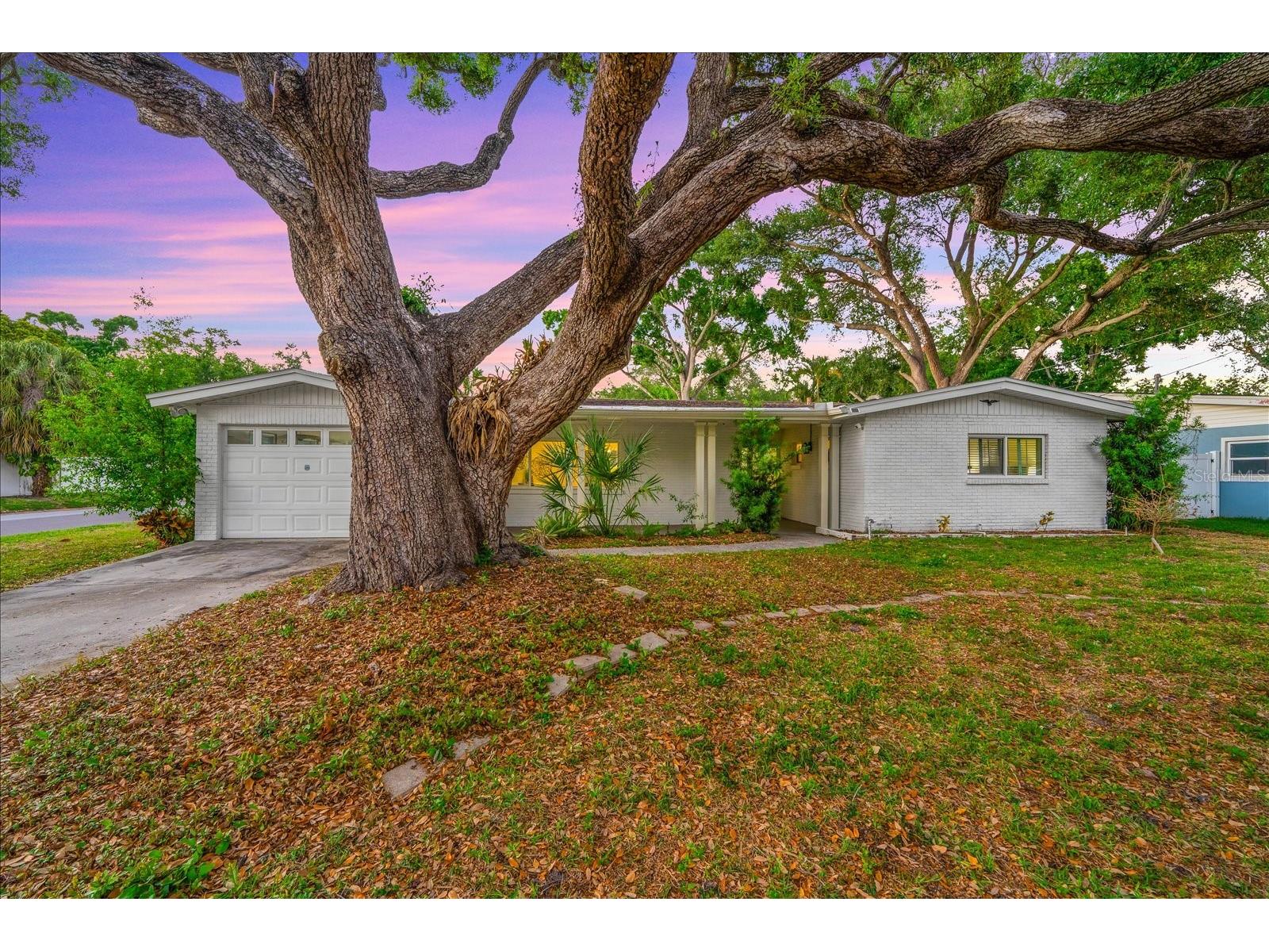 3315 W Beaumont Street Tampa FL 33611 TB8496911 image57