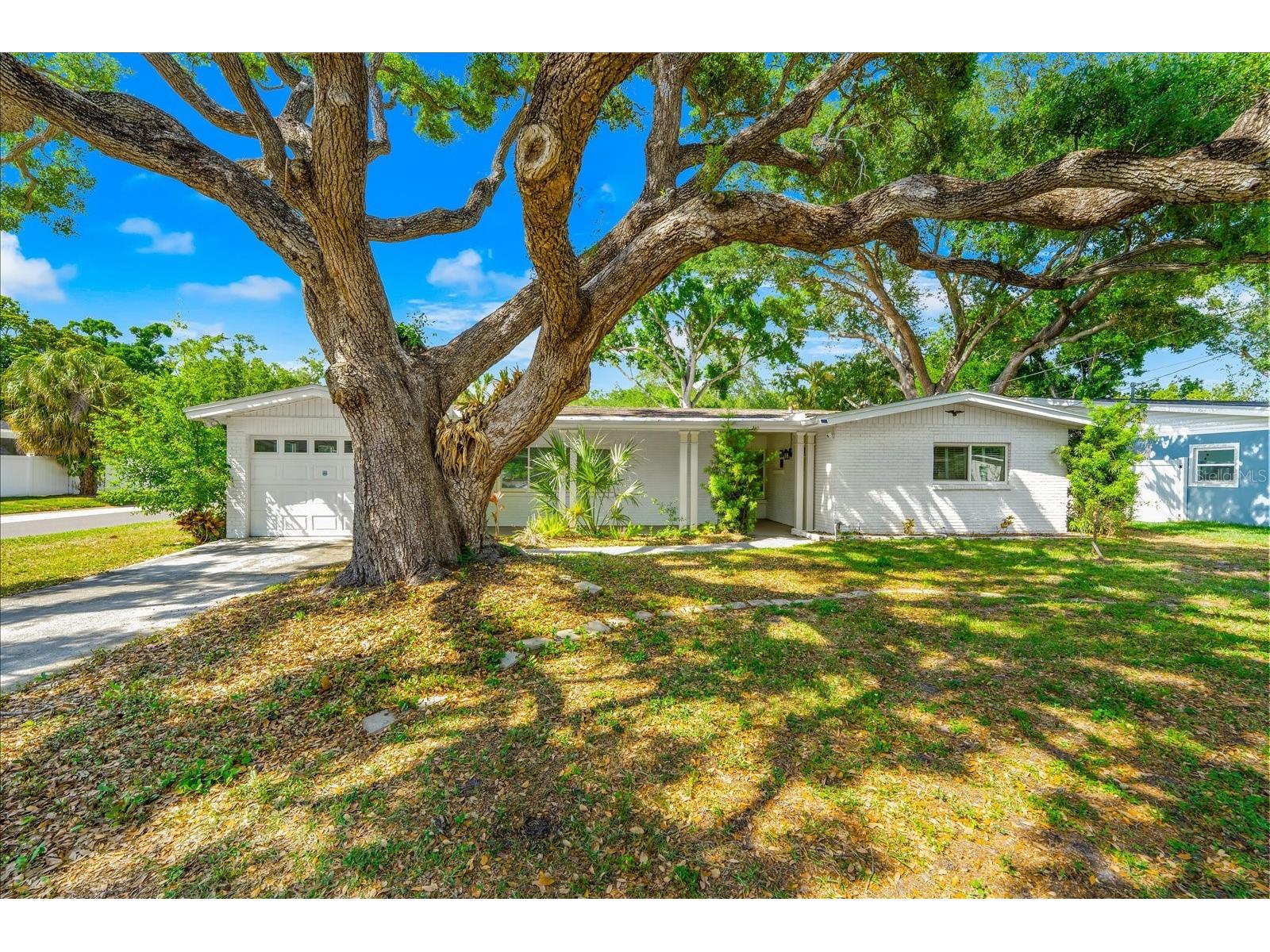 3315 W Beaumont Street Tampa FL 33611 TB8496911 image59