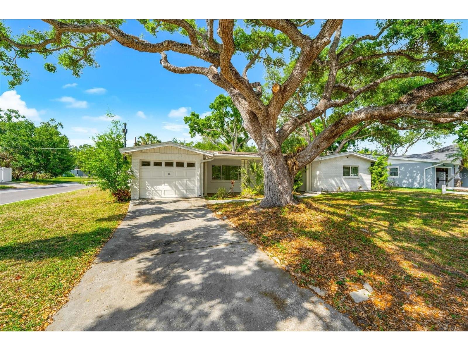 3315 W Beaumont Street Tampa FL 33611 TB8496911 image60