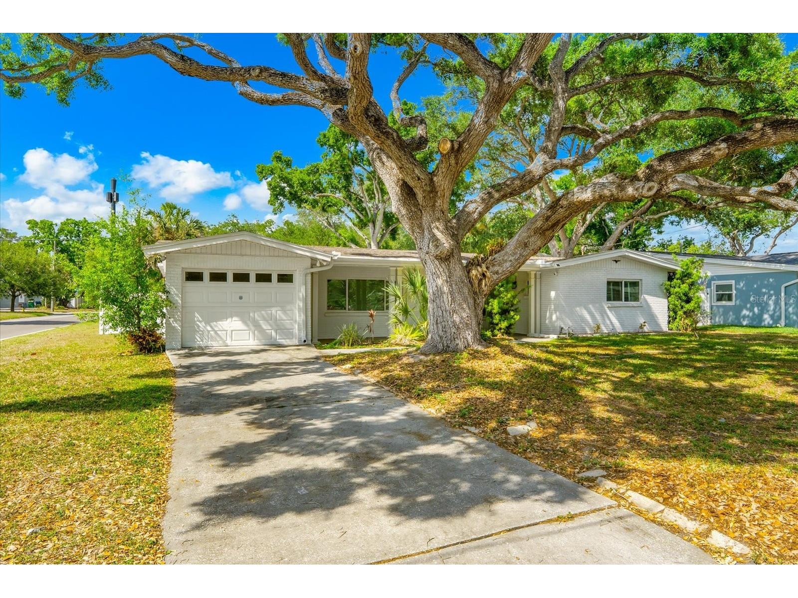 3315 W Beaumont Street Tampa FL 33611 TB8496911 image61