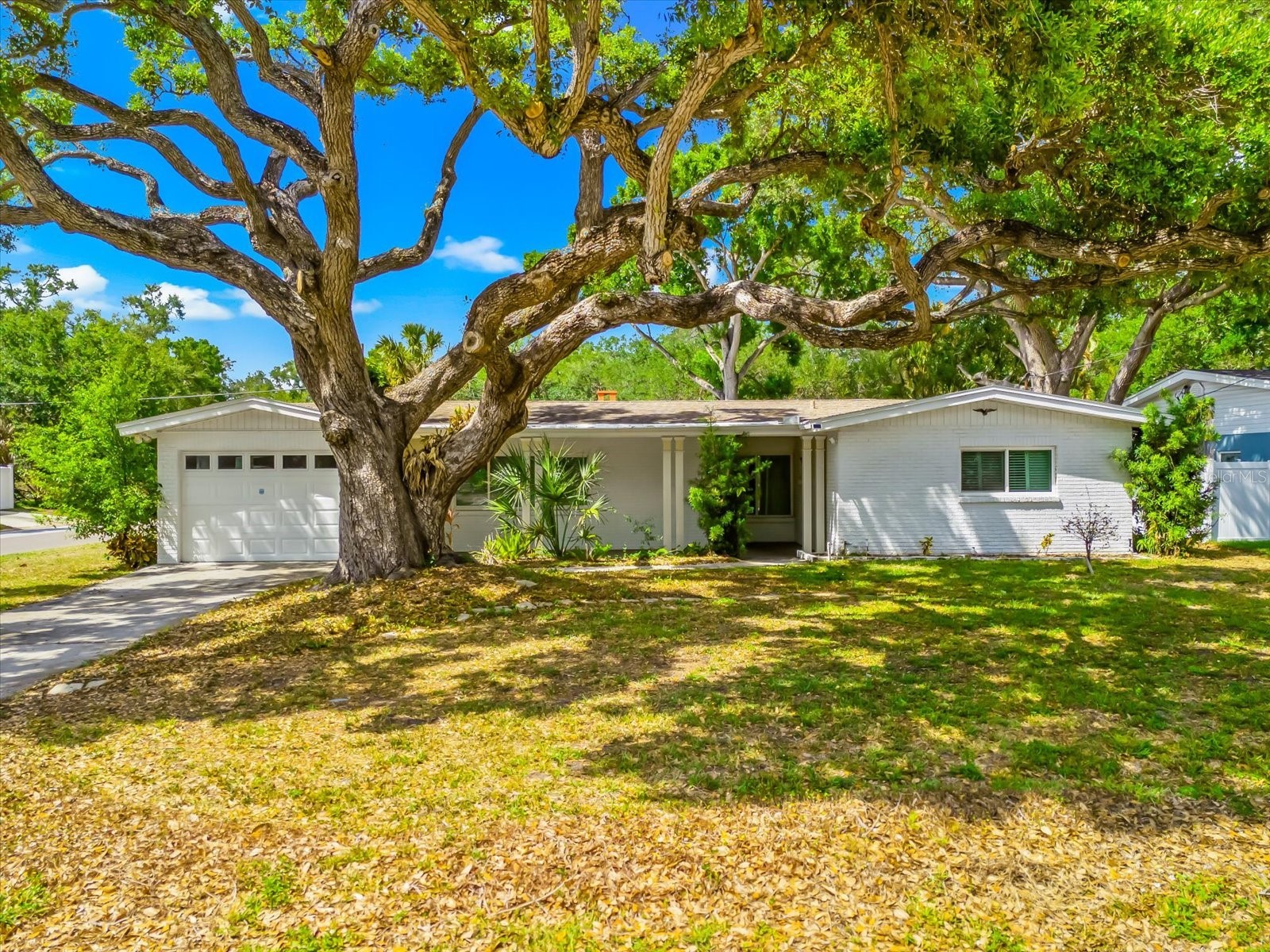 3315 W Beaumont Street Tampa FL 33611 TB8496911 image62