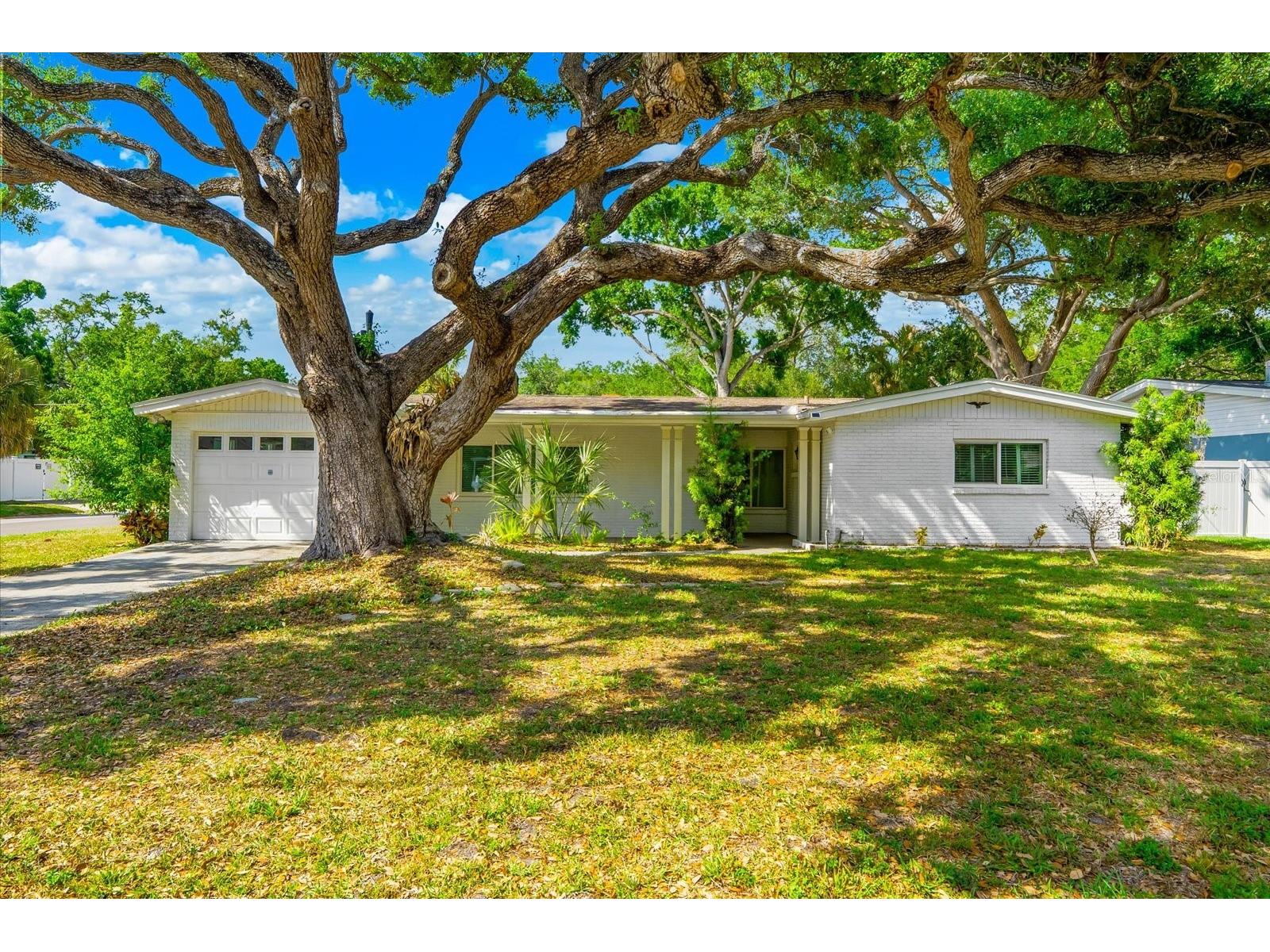 3315 W Beaumont Street Tampa FL 33611 TB8496911 image63