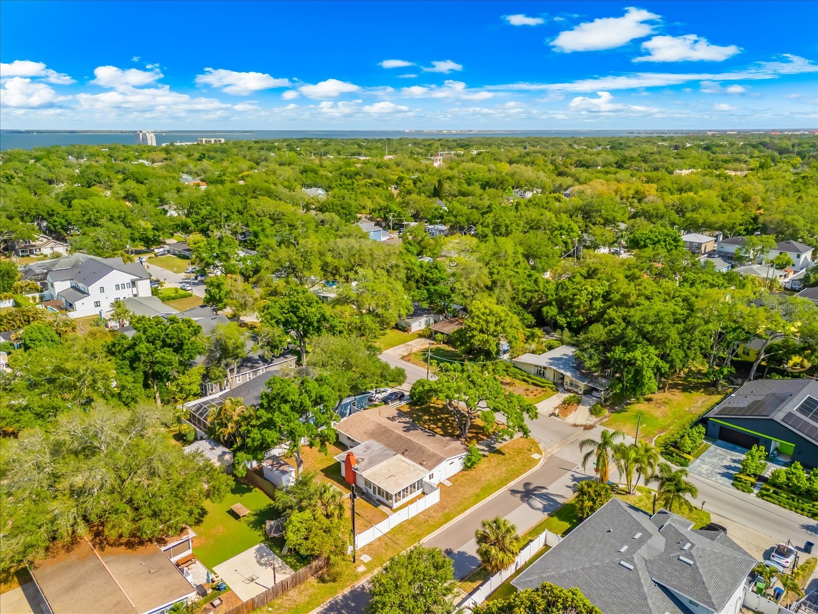 3315 W Beaumont Street Tampa FL 33611 TB8496911 image71