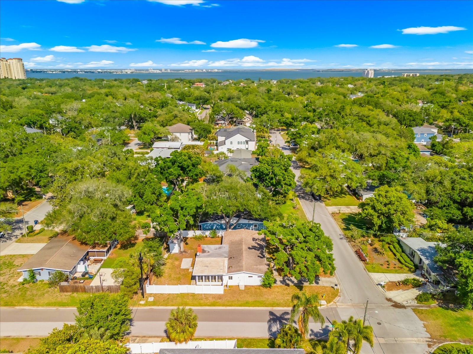 3315 W Beaumont Street Tampa FL 33611 TB8496911 image72