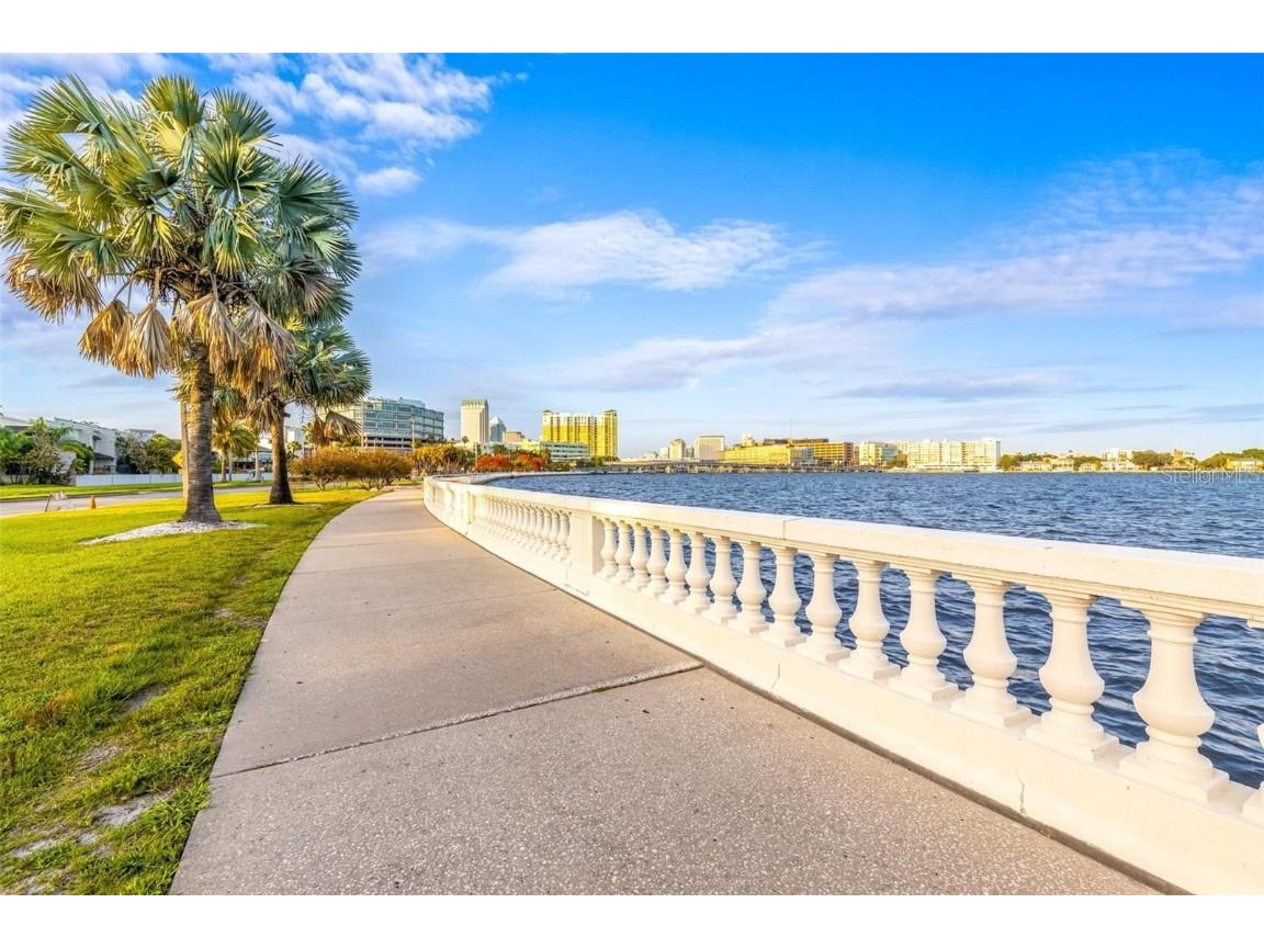3315 W Villa Rosa Street Tampa FL 33611 TB8406468 image4
