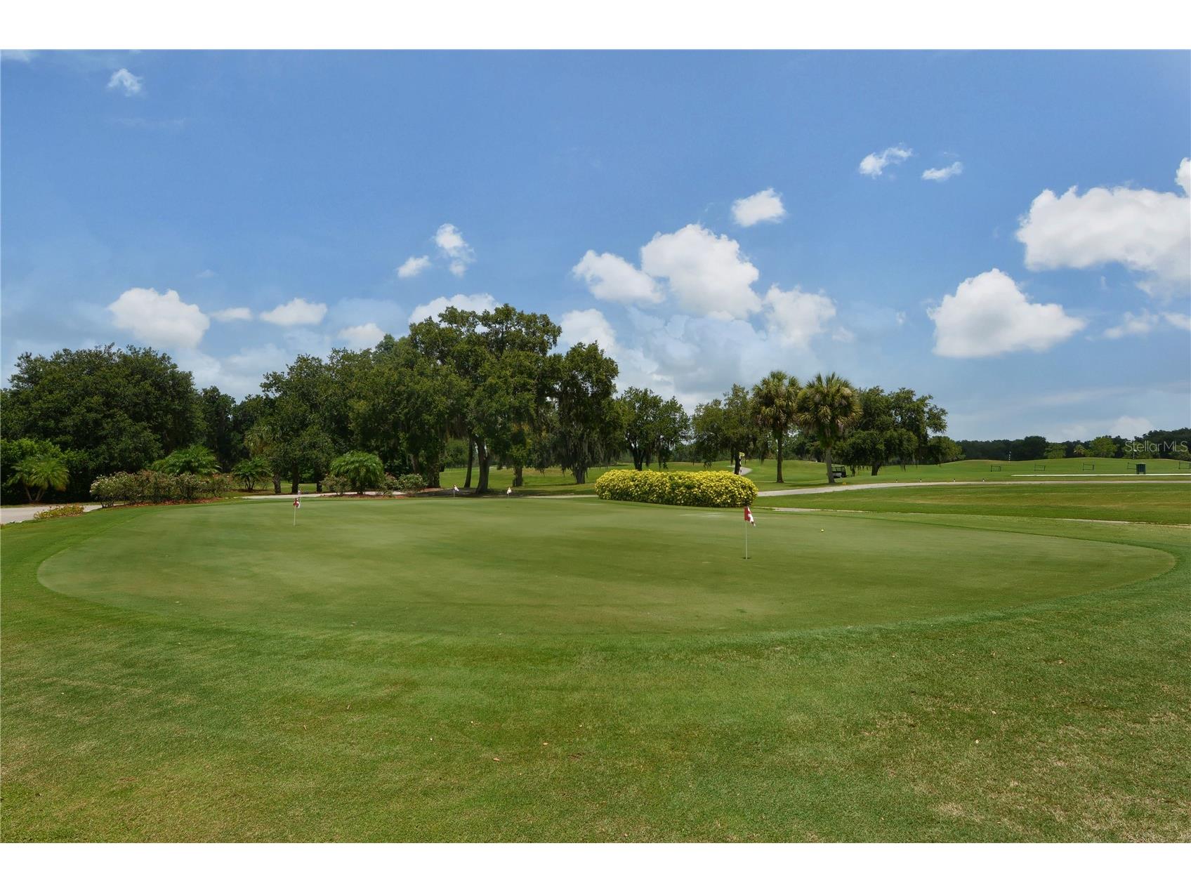 3315 Woodland Fern Drive Parrish FL 34219 - MANATEE RIVER A4688784 image53