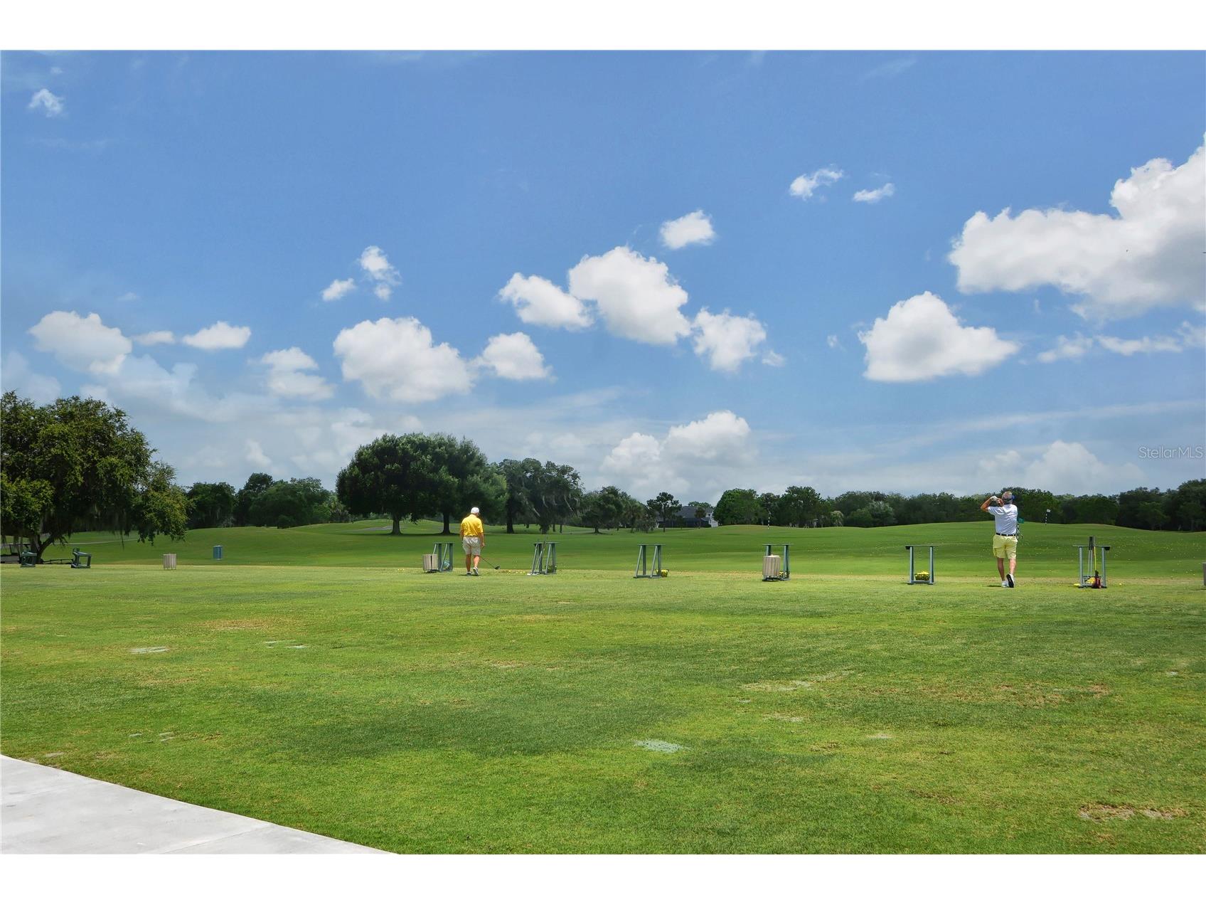 3315 Woodland Fern Drive Parrish FL 34219 - MANATEE RIVER A4688784 image55