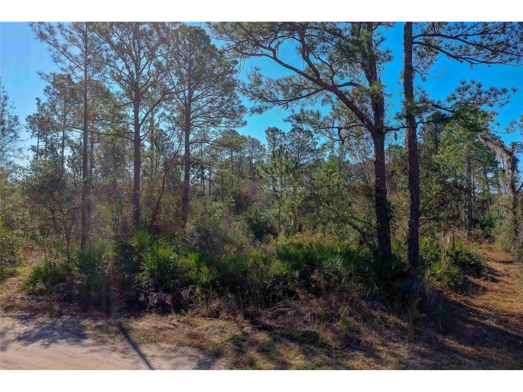 33150 Forest Ridge Road Deland FL 32720 FC316635 image1