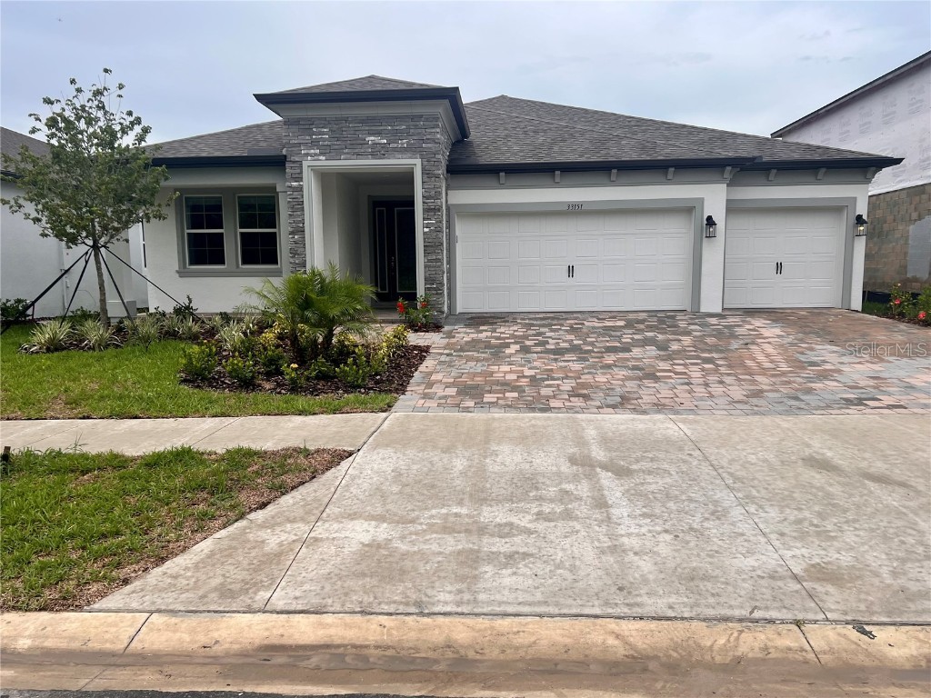33151 Sycamore Leaf Drive Wesley Chapel FL 33545 J963715 image1