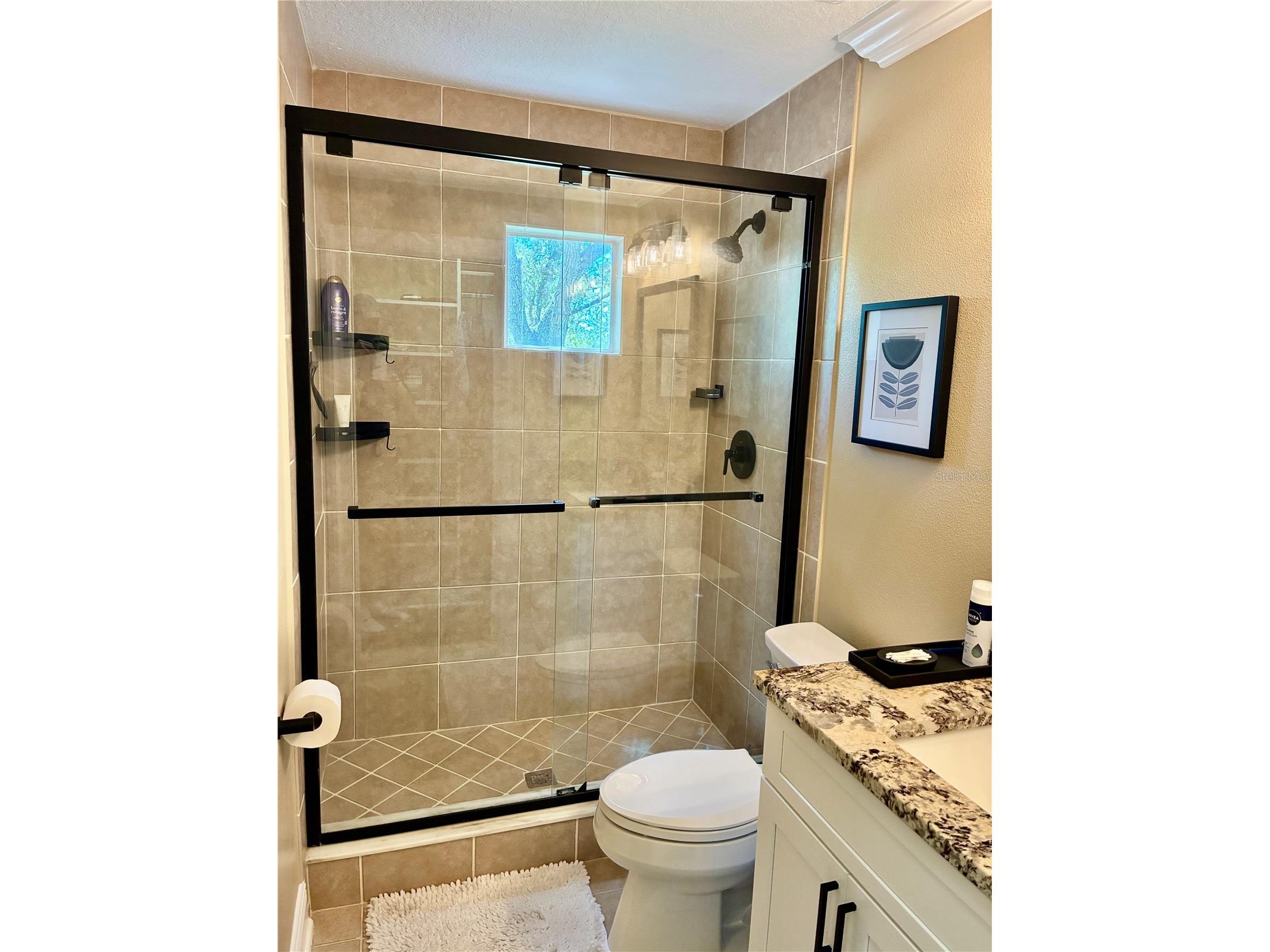 3316 Las Campos Place Tampa FL 33611 TB8490137 image25