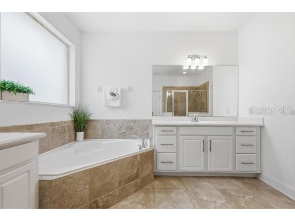 3316 Mccormick Woods Drive Ocoee FL 34761 O6412806 image12