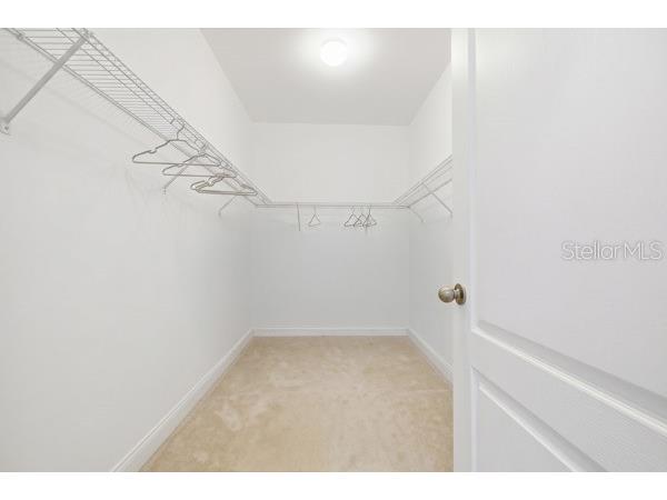 3316 Mccormick Woods Drive Ocoee FL 34761 O6412806 image18
