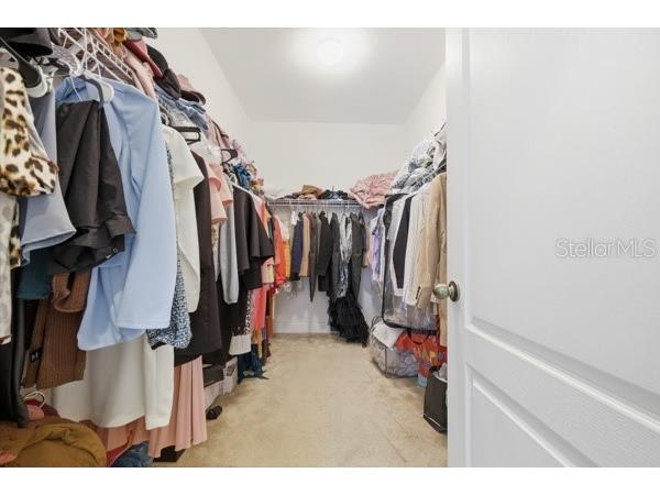 3316 Mccormick Woods Drive Ocoee FL 34761 O6412806 image19