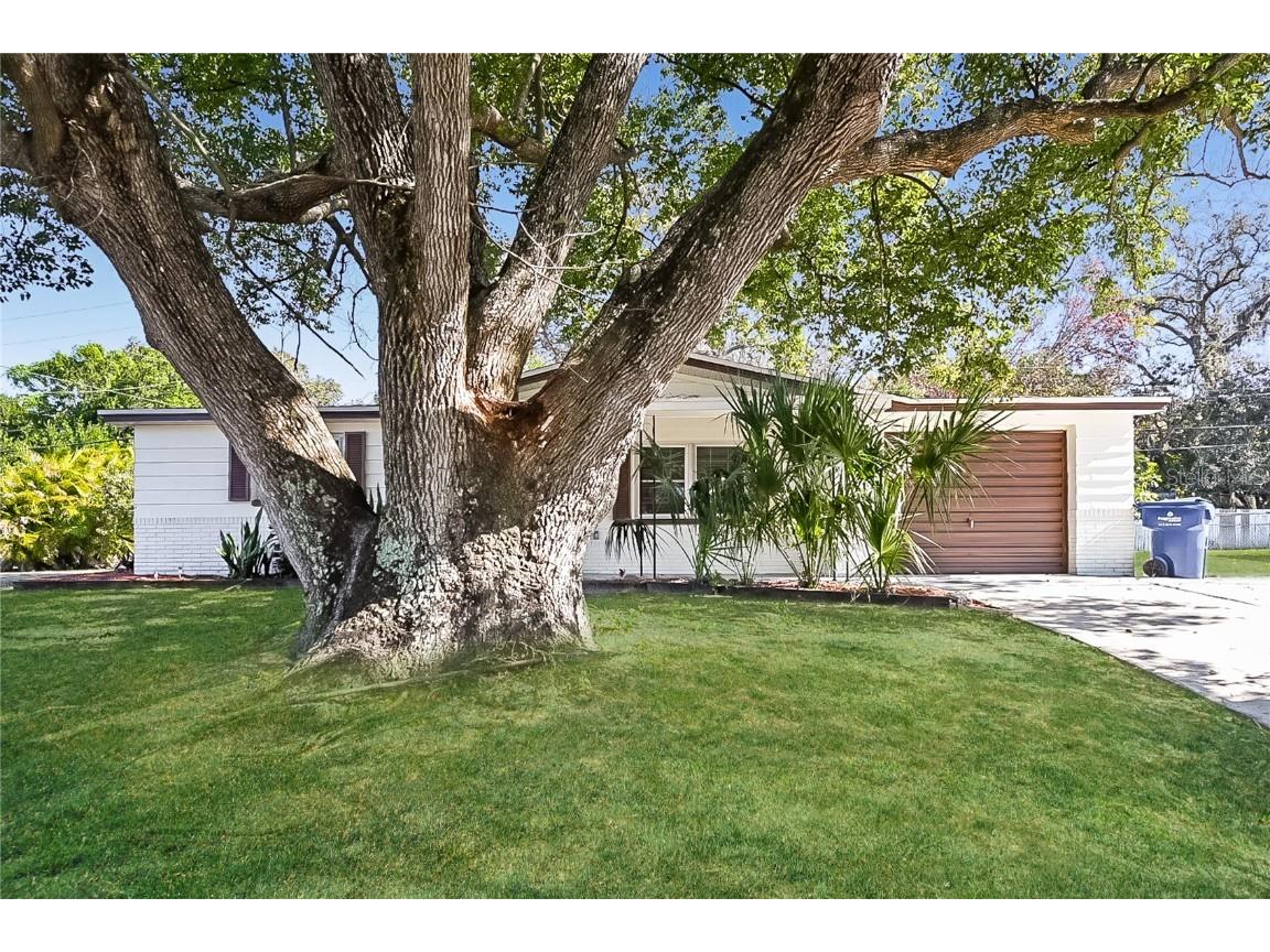 3316 Pinehurst Drive Holiday FL 34691 TB8366100 image1