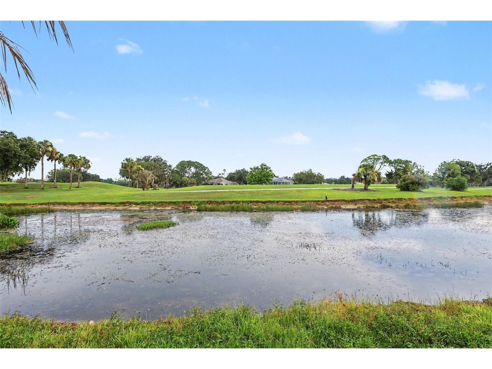 3316 Stonebridge Trail Valrico FL 33596 O6361189 image28