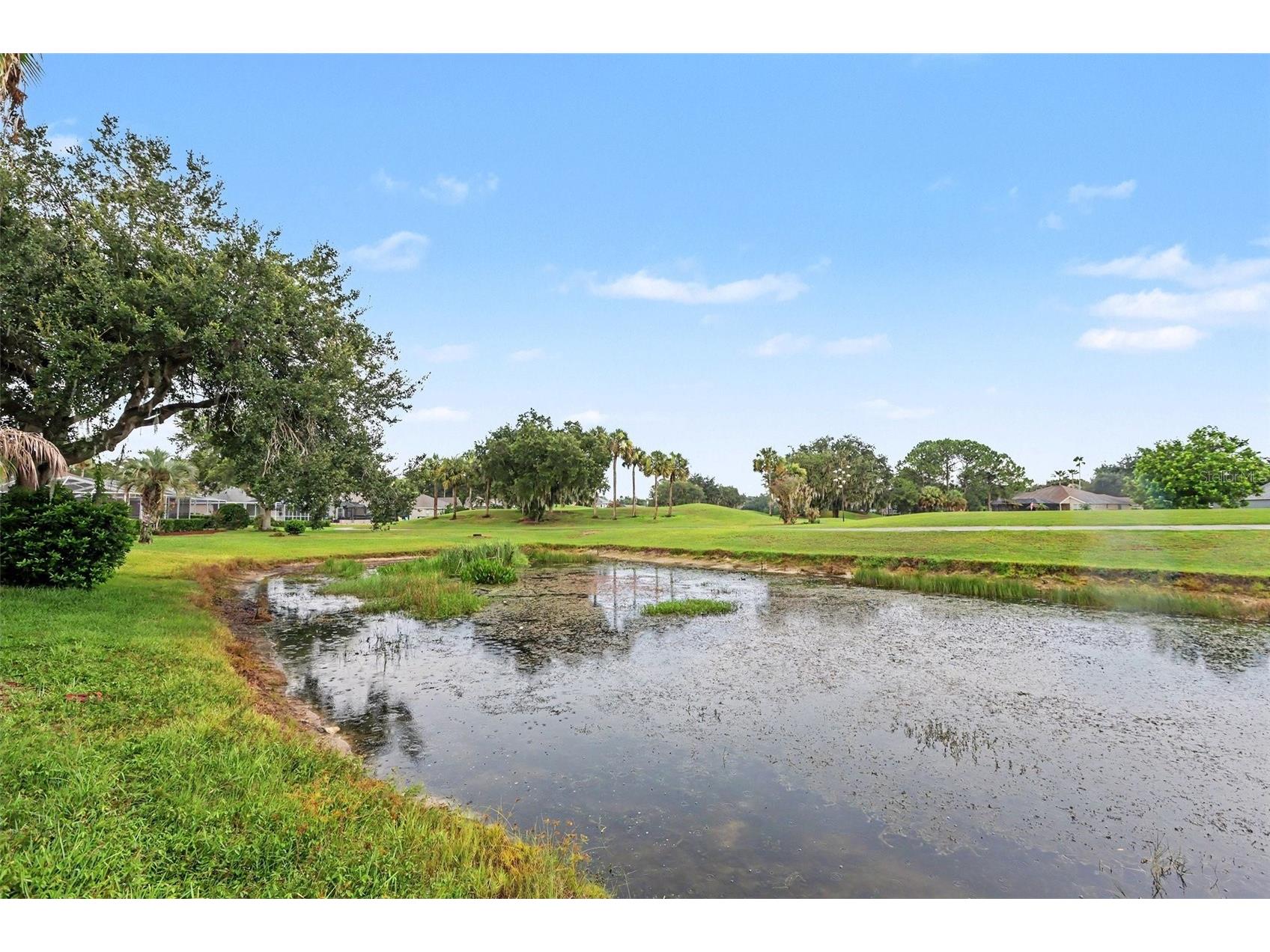 3316 Stonebridge Trail Valrico FL 33596 O6361189 image29