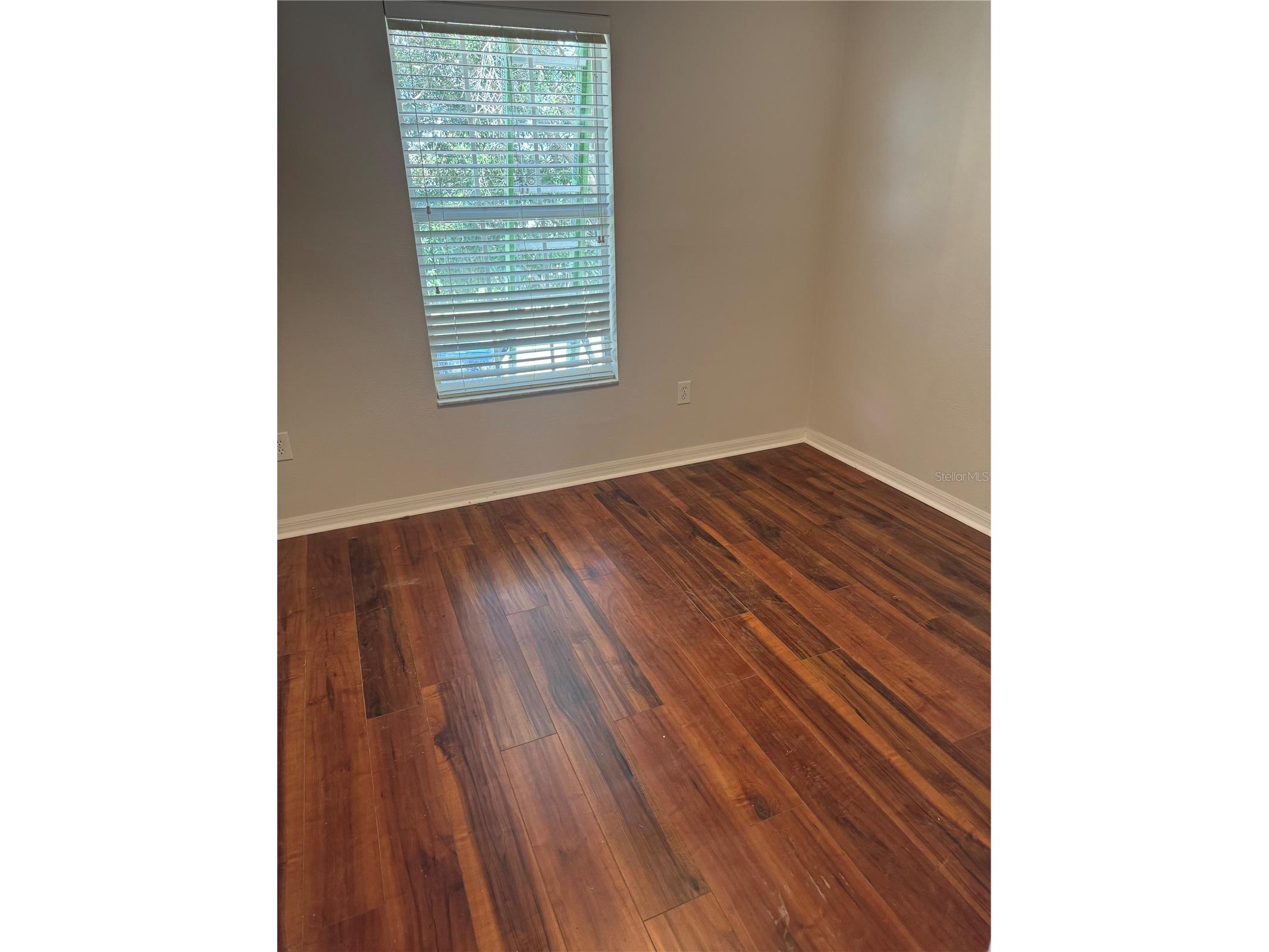 3316 Thistledown Lane Land O Lakes FL 34638 TB8521107 image29