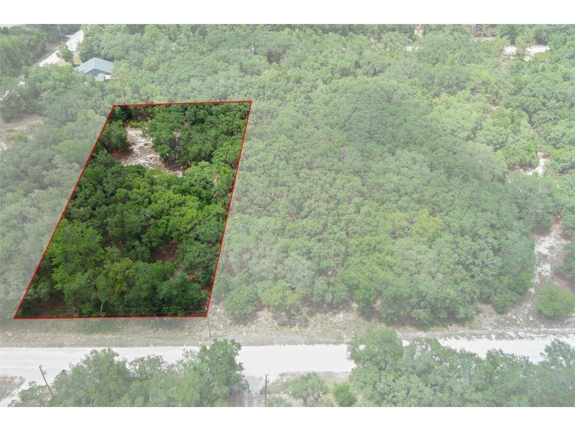 33161 Faculty Street Webster FL 33597 W7865810 image1