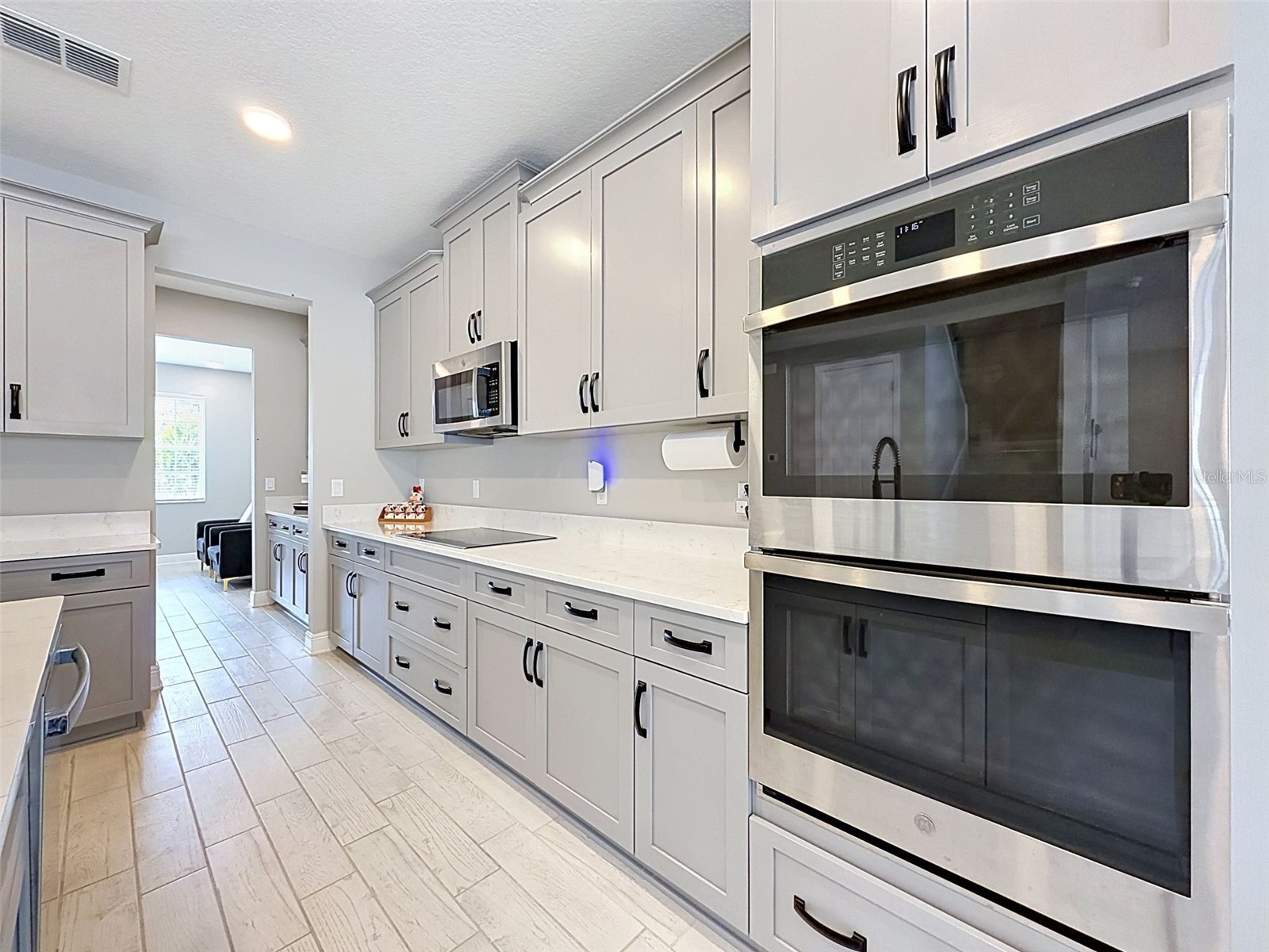 33163 Sycamore Leaf Drive Wesley Chapel FL 33545 W7885551 image17
