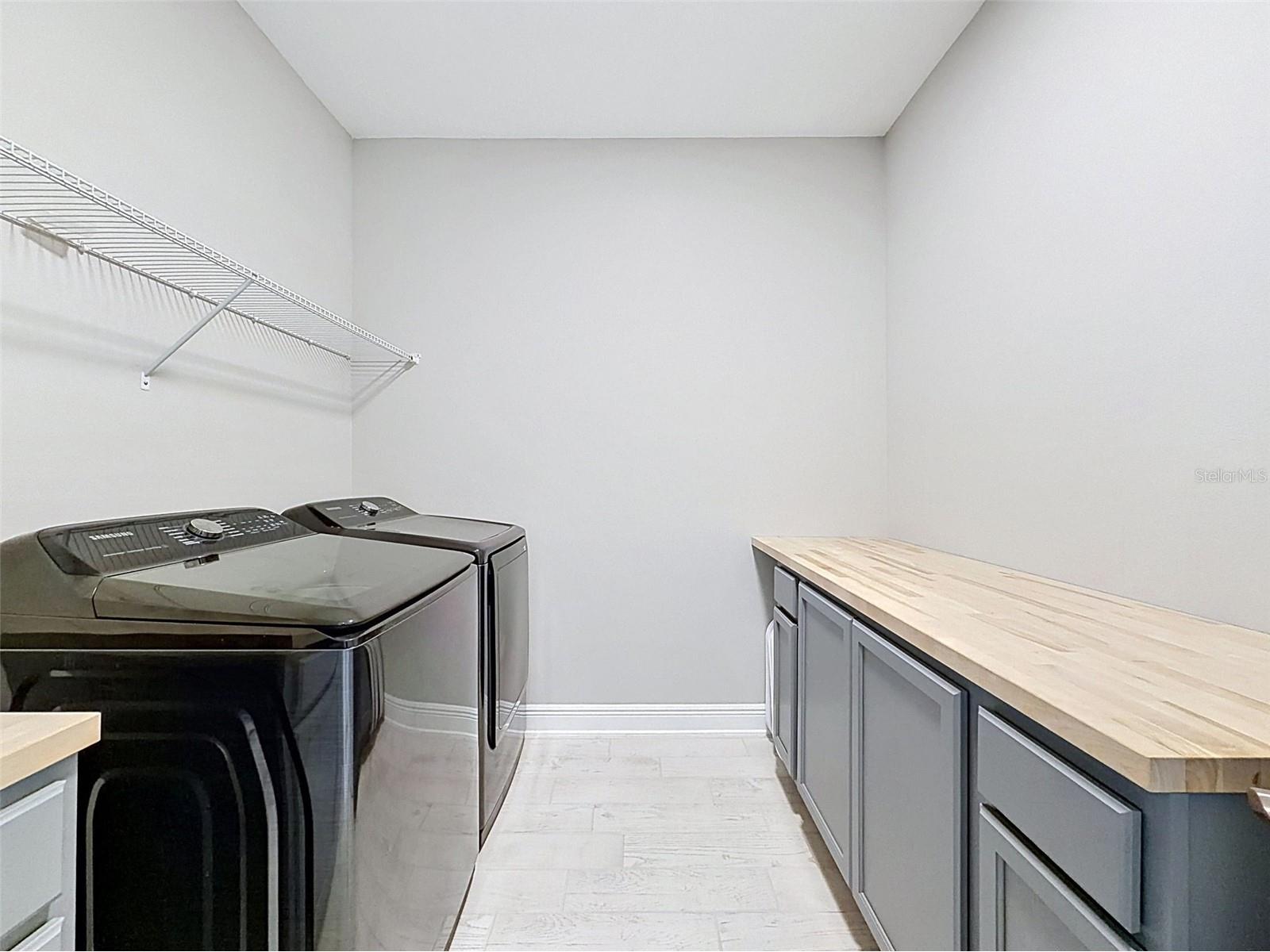 33163 Sycamore Leaf Drive Wesley Chapel FL 33545 W7885551 image34