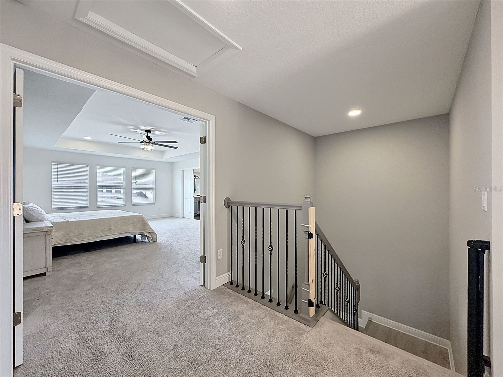 33163 Sycamore Leaf Drive Wesley Chapel FL 33545 W7885551 image37