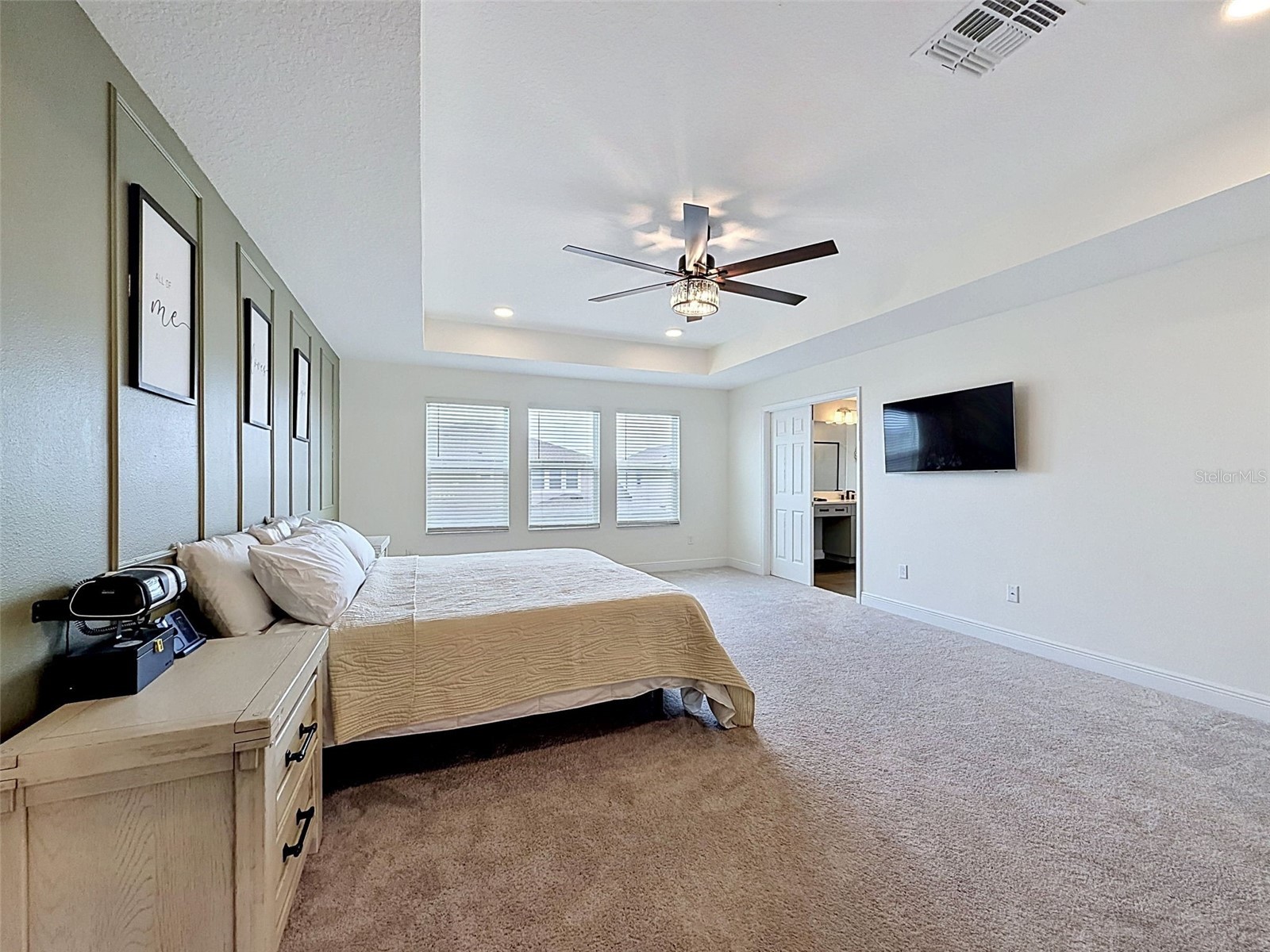 33163 Sycamore Leaf Drive Wesley Chapel FL 33545 W7885551 image41