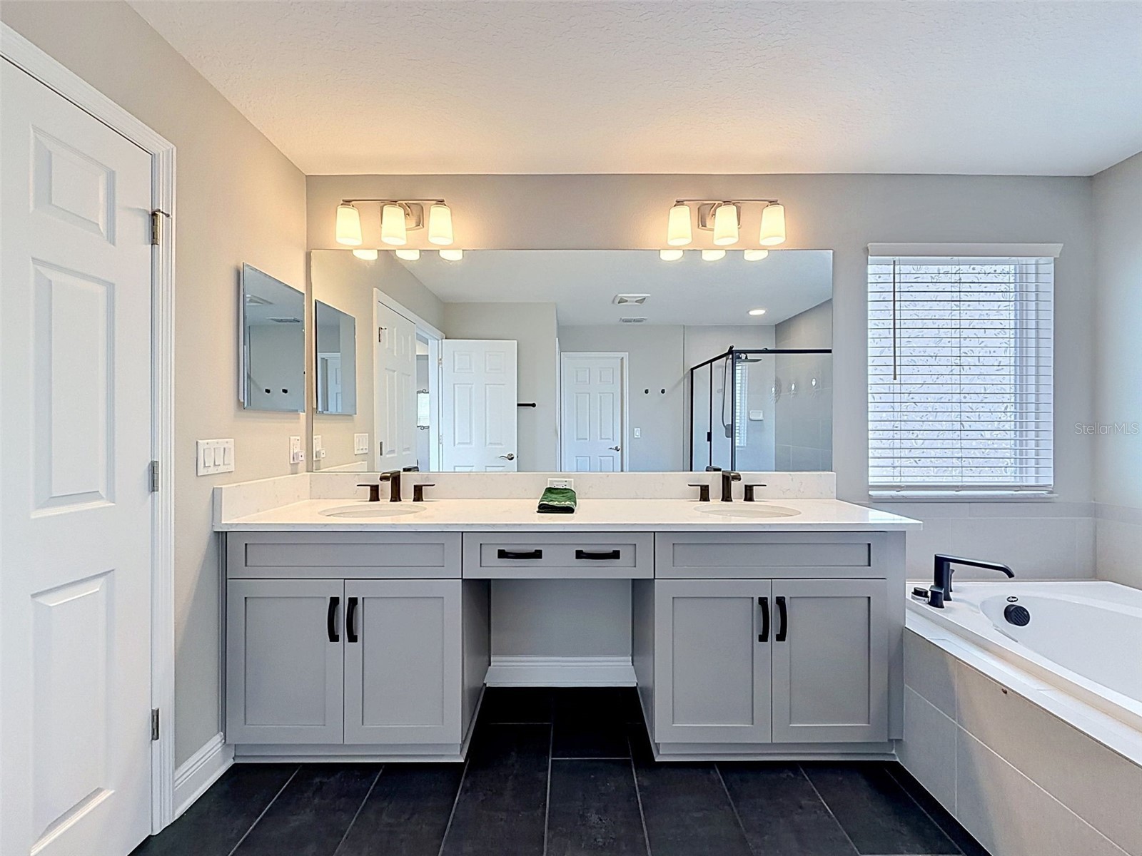 33163 Sycamore Leaf Drive Wesley Chapel FL 33545 W7885551 image43